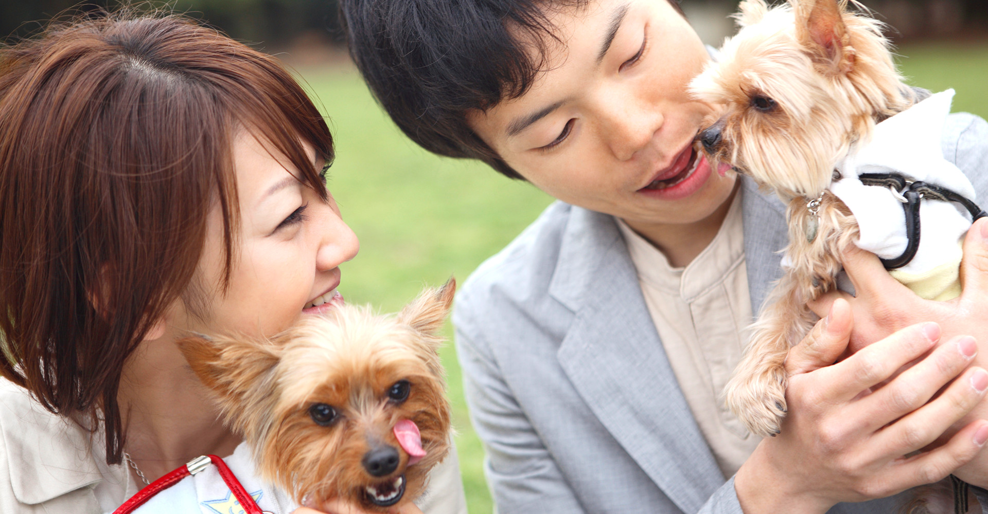 熊本第一犬舎