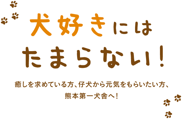 犬好きには たまらない！