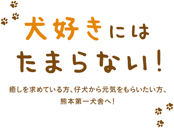 犬好きには たまらない！